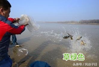 狗年这些生肖犯太岁，别慌，命理大师告诉你如何化解！ 犯太岁怎么转运