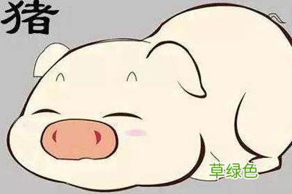 猪年是“寡妇年”不宜结婚？为何猪年会“两头无春”？ 猪年是什么年