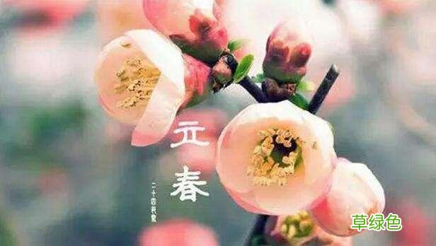 猪年是“寡妇年”不宜结婚？为何猪年会“两头无春”？ 猪年是什么年