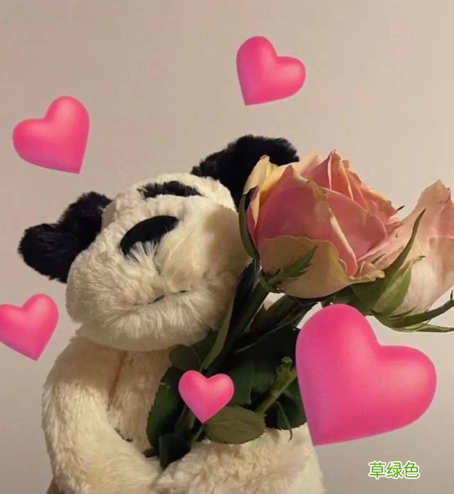 可爱有趣的微信昵称 猪有什么昵称