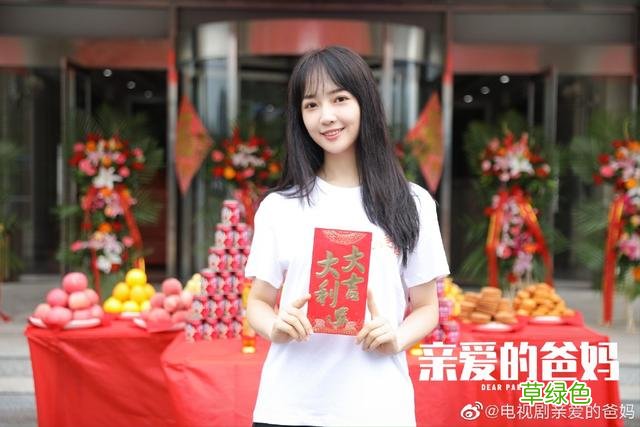 闫妮新剧《亲爱的爸妈》开机 张逸杰秦牛正威加盟 王子睿名字