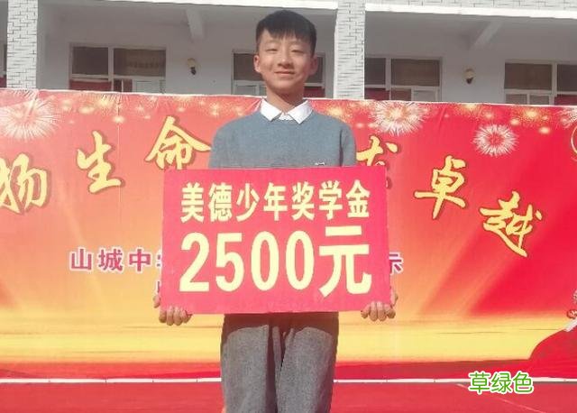 真正的王者荣耀：14岁的王泯燃为下井救人，谎称自己17岁 男孩王什么