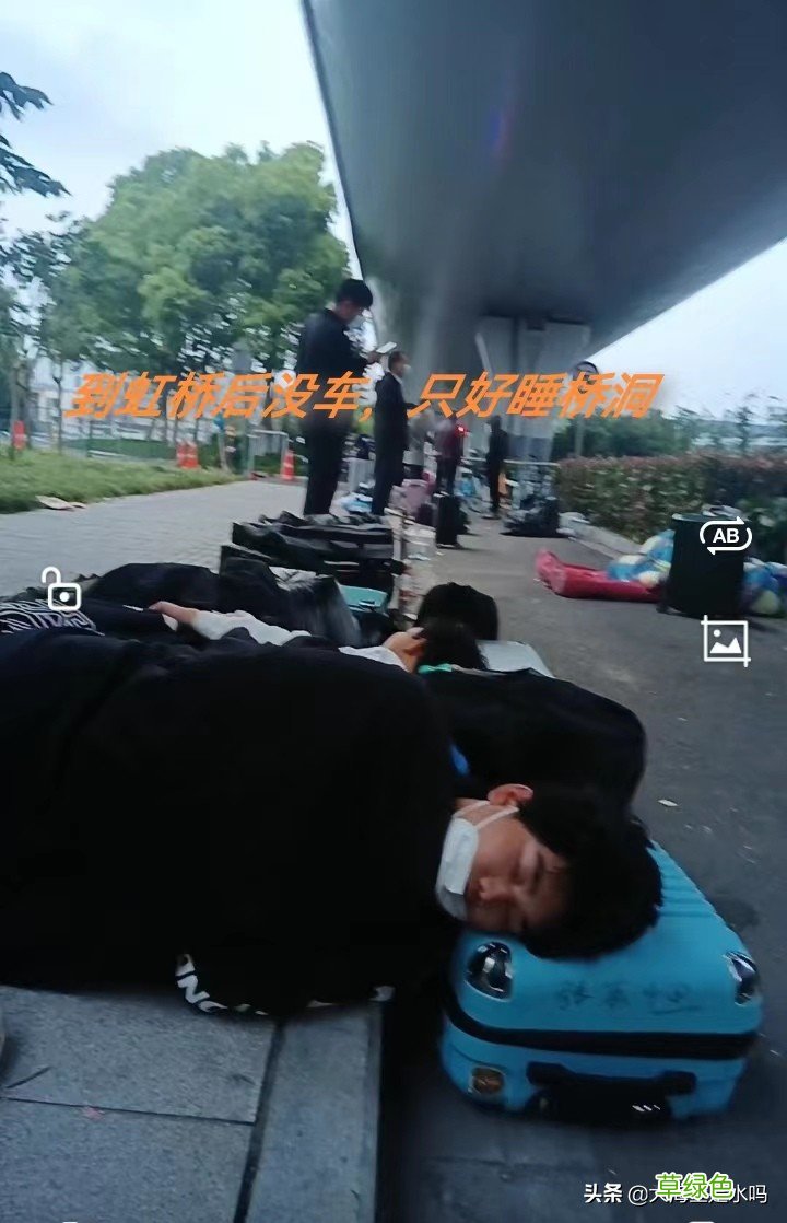 太可怜了，为了回家，情愿睡桥洞，离沪真的太困难了