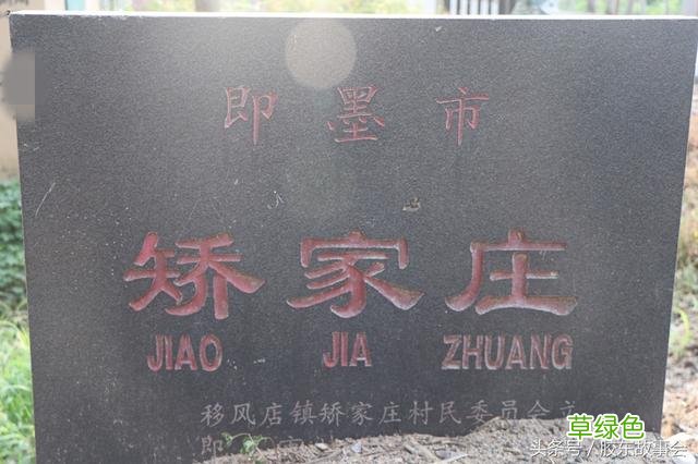 青岛即墨和烟台牟平都有不少矫姓的人：五百年前是一家 矫姓氏怎么读