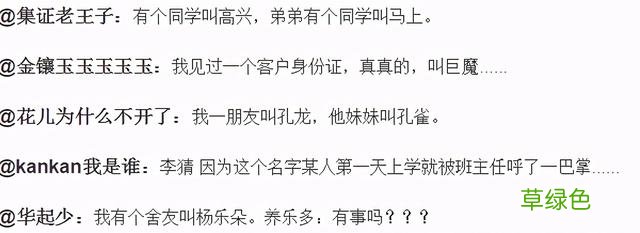 属马名字必须带草，属鼠要含五谷杂粮？父母给孩子起名经历了什么 芷是属什么