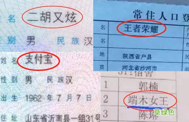 属马名字必须带草，属鼠要含五谷杂粮？父母给孩子起名经历了什么 芷是属什么