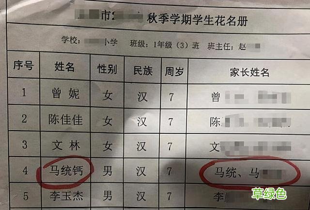 属马名字必须带草，属鼠要含五谷杂粮？父母给孩子起名经历了什么 芷是属什么