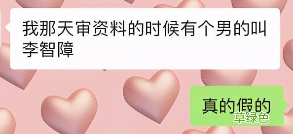 属马名字必须带草，属鼠要含五谷杂粮？父母给孩子起名经历了什么 芷是属什么
