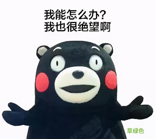 属马名字必须带草，属鼠要含五谷杂粮？父母给孩子起名经历了什么 芷是属什么