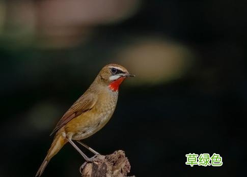 原来人也属于“五虫”之一。“蟹”的含义是什么？田老头螃蟹百科 螃蟹寓意什么
