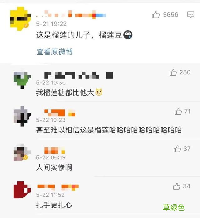 冲上热搜！这种水果被网友玩成“盲盒”，青岛更是全城谈“莲”爱 袁铭名字