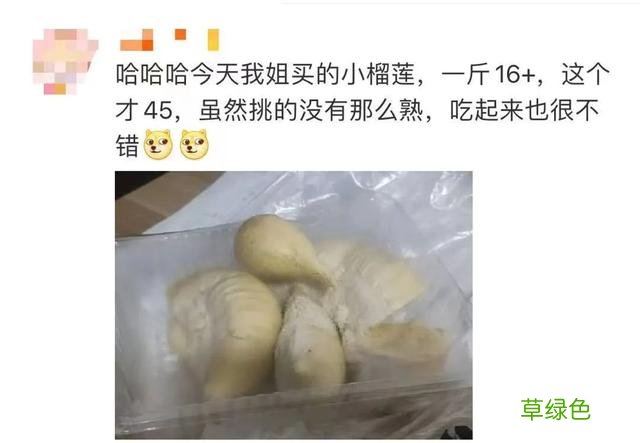 冲上热搜！这种水果被网友玩成“盲盒”，青岛更是全城谈“莲”爱 袁铭名字