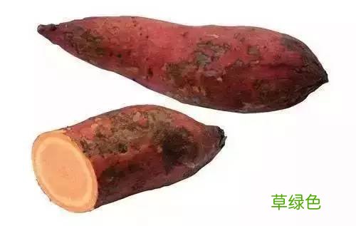 红薯吃多有什么坏处 红薯不能和什么同吃