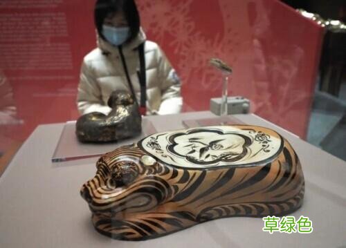 华南虎、东北虎……你知道生肖虎的原型是哪种虎吗? 虎加兔念什么