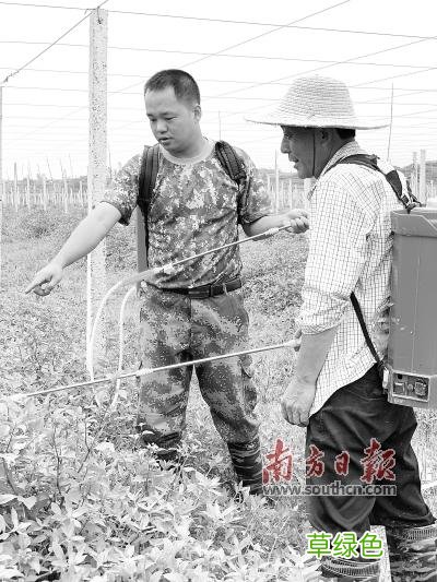 向汕向上 起名吴泽什么