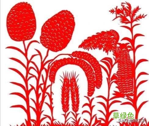 农村俗语“辛丑稻麦丰，牛也不吃草”，啥意思？ 辛卯日属什么