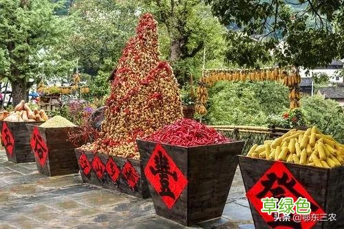 农村俗语“辛丑稻麦丰，牛也不吃草”，啥意思？ 辛卯日属什么