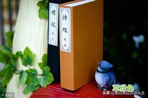 藏在《诗经》里清雅怡然的女孩名字，个个都富有古风韵味 纯熙名字