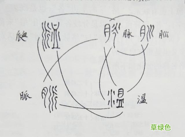 “脉”是怎样分化为“经”、“络”等名称的？ 络字怎么写