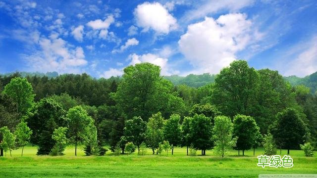 道德经名句起名：清水出芙蓉的女宝宝名，不想脱颖而出都不行 里取名字