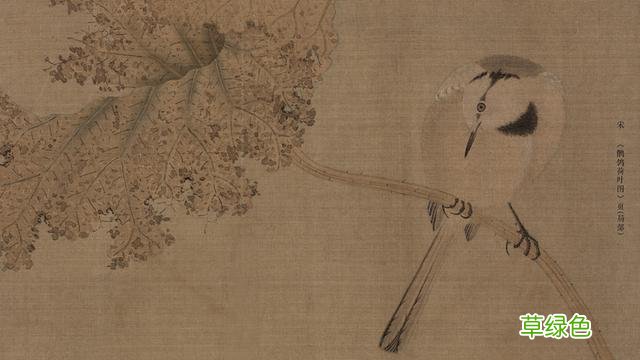 道德经名句起名：清水出芙蓉的女宝宝名，不想脱颖而出都不行 里取名字