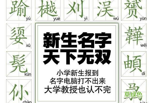 爸爸姓沙，想给孩子取个文雅点的名字，妈妈的提议让爸爸哭笑不得 莎字怎么取名