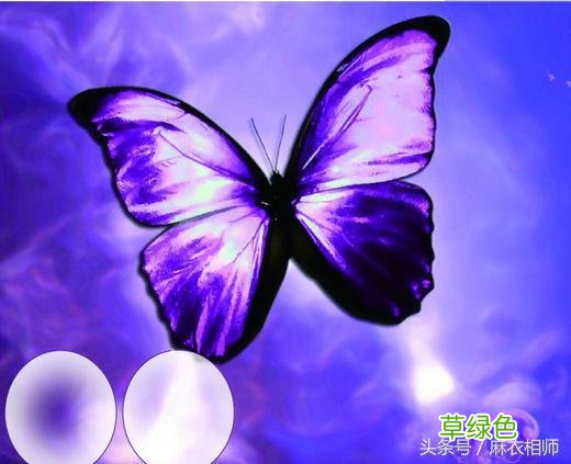 4大生肖五行藏金，中年后有财有库，下半生富足有定数 金是什么生肖