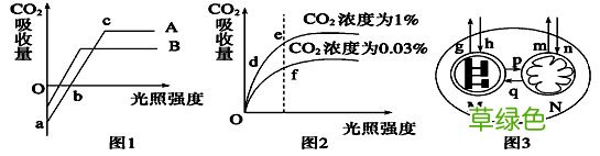 汽车光照传感器的作用 光照作用与功效