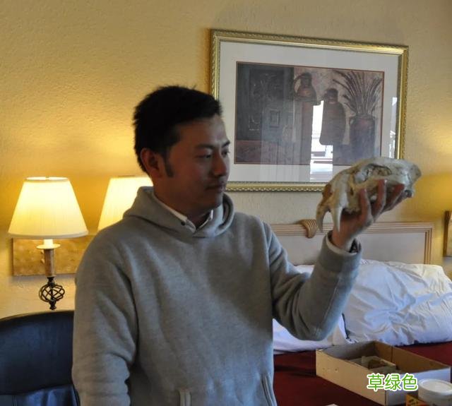 虎年的虎：我从哪里来，要到哪里去？ -t属什么