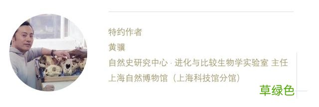虎年的虎：我从哪里来，要到哪里去？ -t属什么