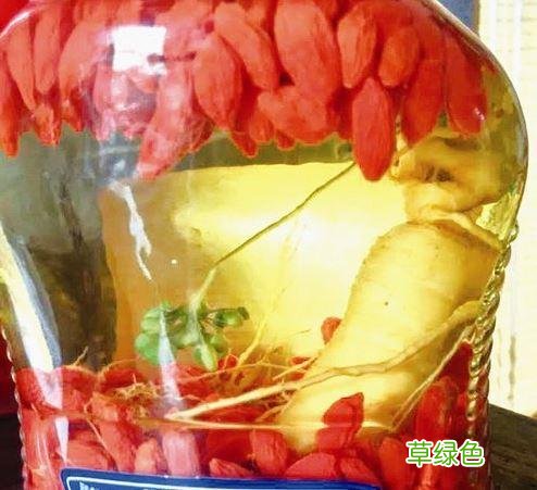 枸杞泡酒真的能治疗静脉曲张吗
