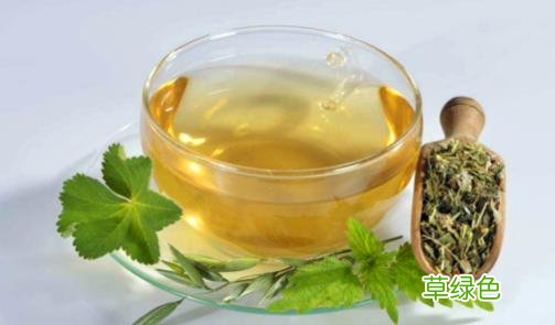 女人冬季养生茶配方大全 补肾养生茶配方大全女人