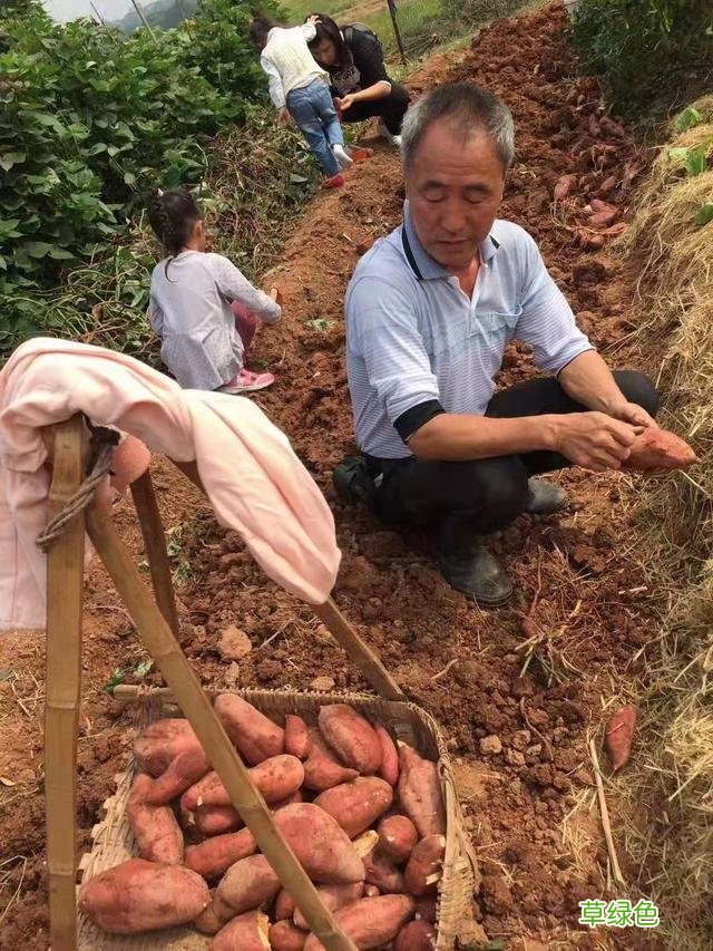 曾喊停网友买他爱心红薯的赵可爱如今怎样了？其实有人一直在默默帮助他 赵小孩儿怎么样