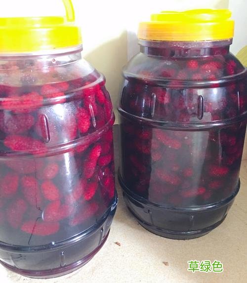 新鲜桑葚泡酒的做法 桑葚泡酒的正确做法
