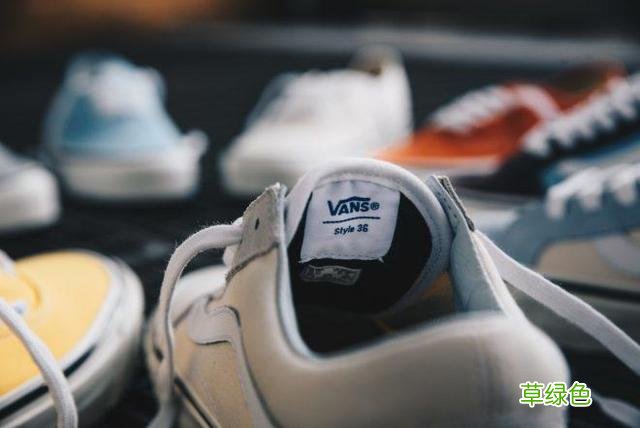 不吹不黑，这绝对是Vans性价比最高的一个系列！ 万斯年名字