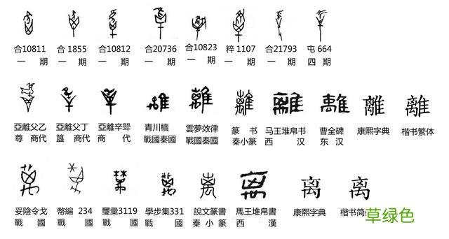 汉字探源：隹字衍生字之離 离 佳字怎么介绍