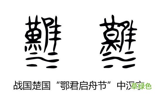 汉字探源：隹字衍生字難字本义是什么？ 佳字怎么样