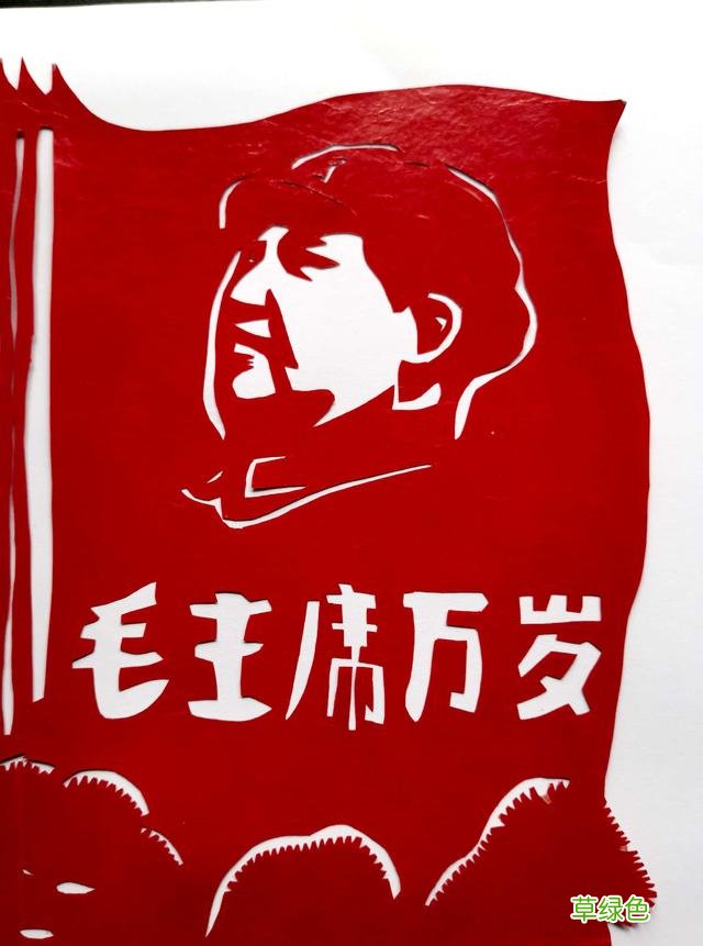 书的衍生物 书是属什么