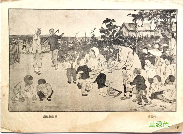 书的衍生物 书是属什么