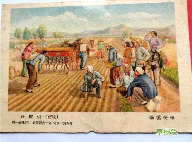 书的衍生物 书是属什么