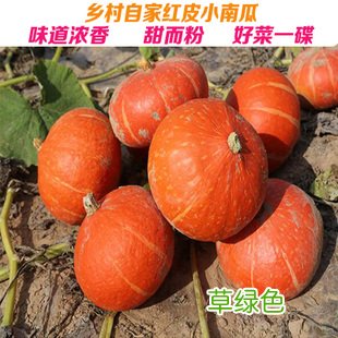 贝贝小南瓜长什么样 贝贝小南瓜不能和什么一起吃