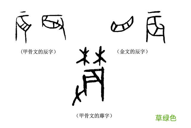 《说文解字》第112课：在这春天里，你真的认识“春”字吗？ 五卉是什么字