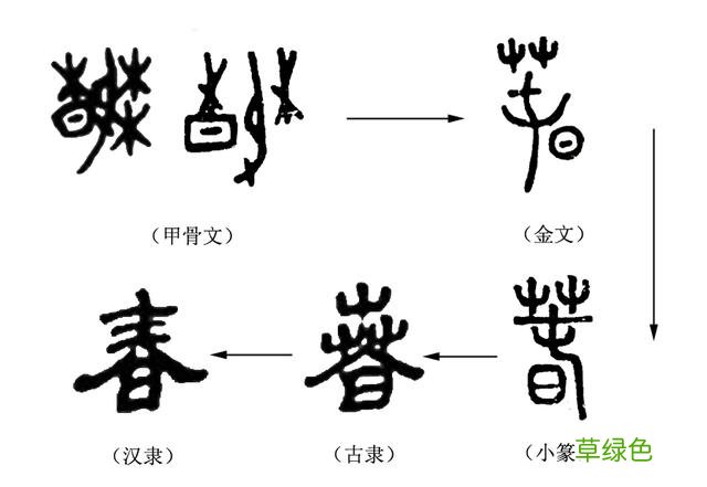 《说文解字》第112课：在这春天里，你真的认识“春”字吗？ 五卉是什么字