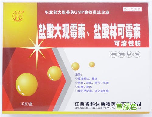 爱洛的作用 爱洛功效与作用