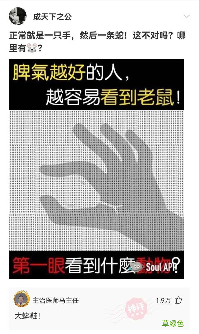 友友们，我姓杨，我想要一个“达不刘”这样的网名 全杨名字