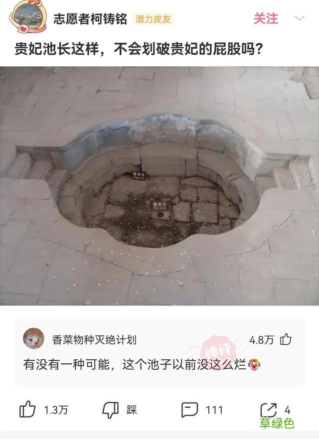 友友们，我姓杨，我想要一个“达不刘”这样的网名 全杨名字