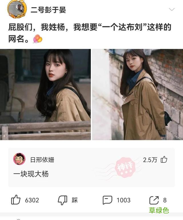 友友们，我姓杨，我想要一个“达不刘”这样的网名 全杨名字
