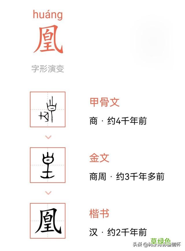 树东说文解字“凰”，凤和凰，龙和凤是怎样的关系？ 凰字怎么写