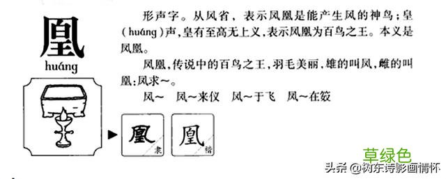 树东说文解字“凰”，凤和凰，龙和凤是怎样的关系？ 凰字怎么写