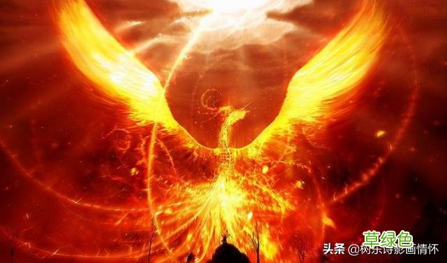 树东说文解字“凰”，凤和凰，龙和凤是怎样的关系？ 凰字怎么写